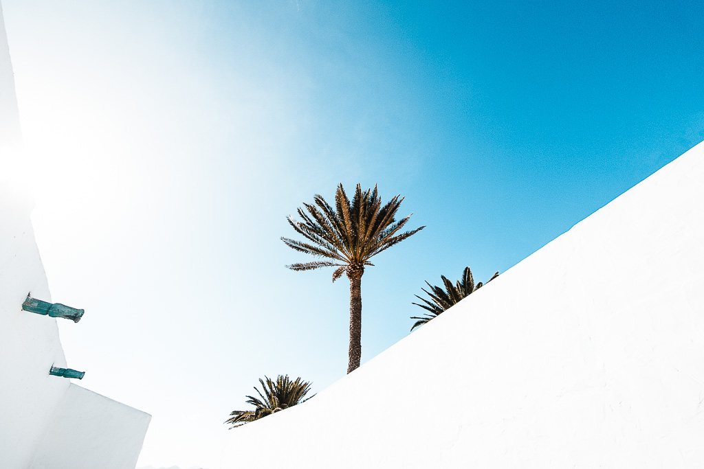 Architektur, Palmen Ibiza